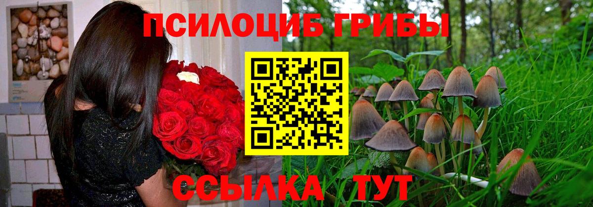 наркотики  Вход с VPN  Михайловка  Галлюциногенные грибы мухоморы 