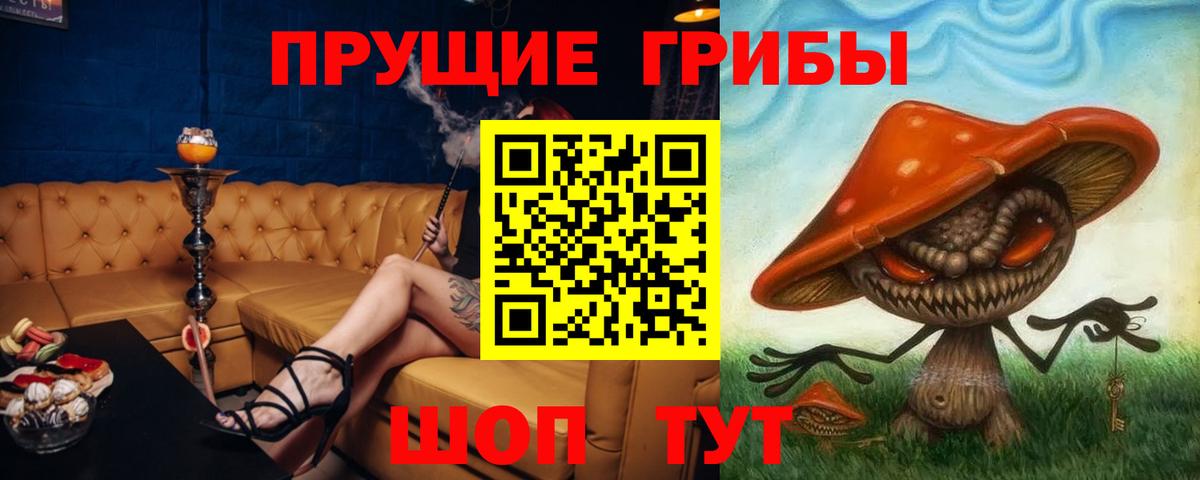 Псилоцибиновые грибы Cubensis Михайловка